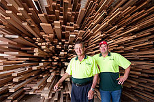 Timber Information